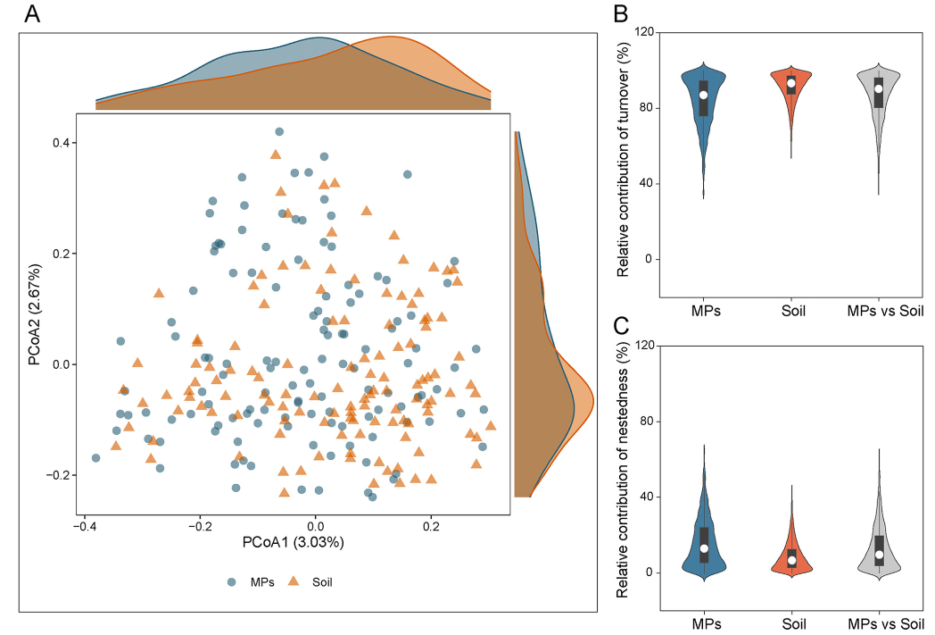 1725872038605064294.png 22.png